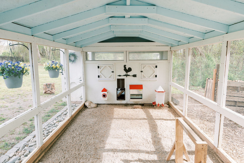 Accessorize Your Coop | Bee Jeweled Coop Essentials