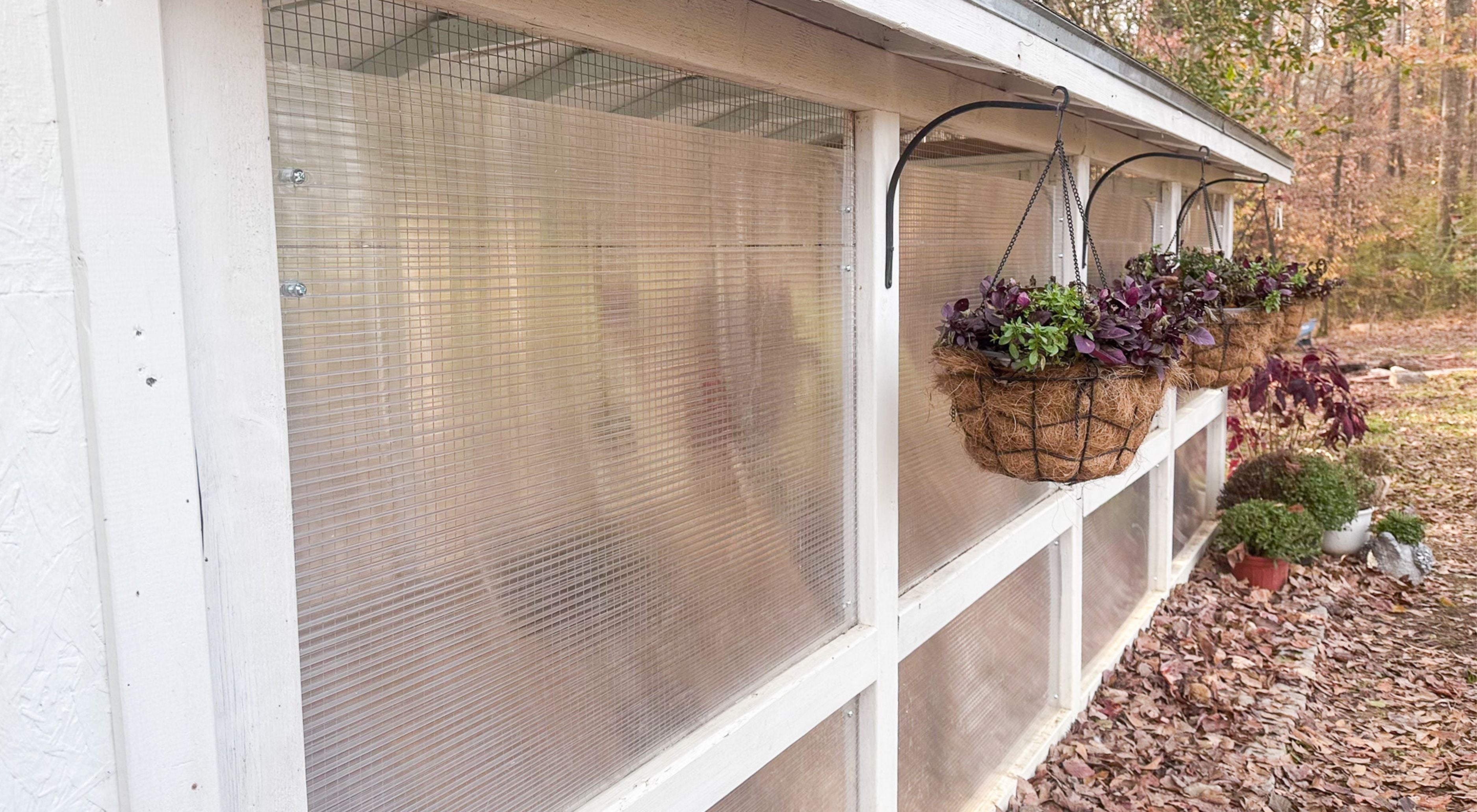 Winterizing the chicken run with greenhouse panels