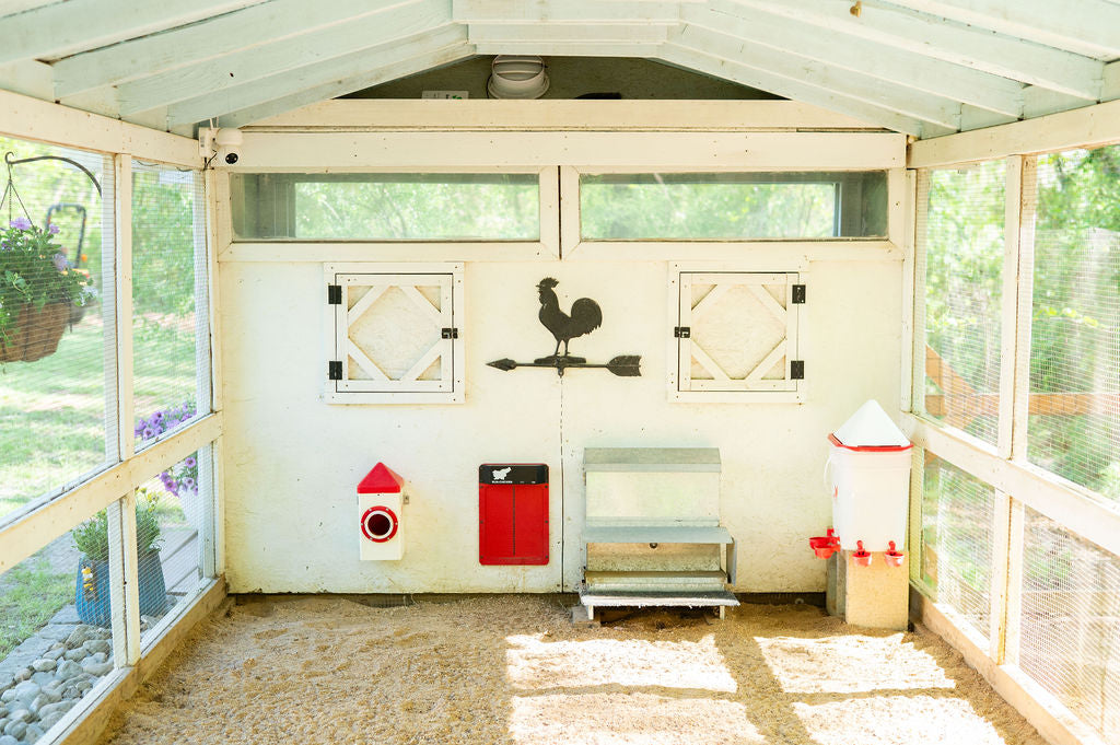 Accessorize Your Coop | Bee Jeweled Coop Essentials