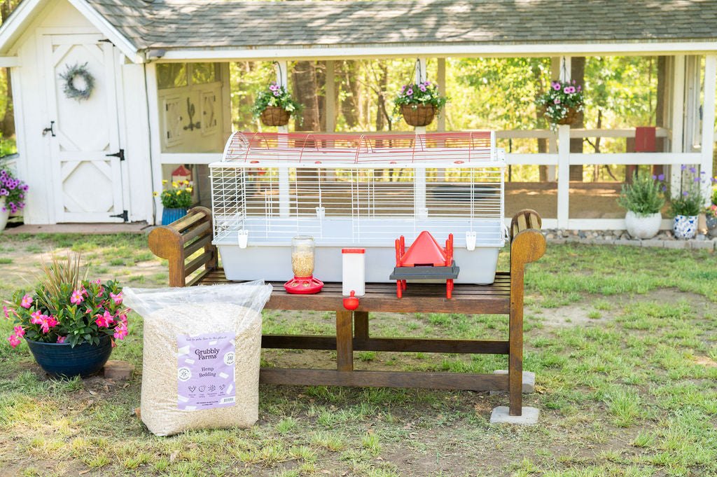 The Ultimate Setup Guide for Your Baby Chicks