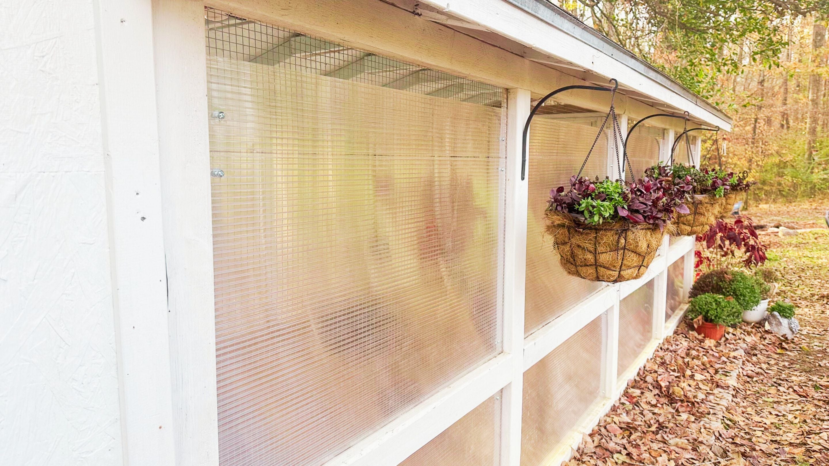 Winterizing Your Chicken Run: A Complete Step-by-Step Guide