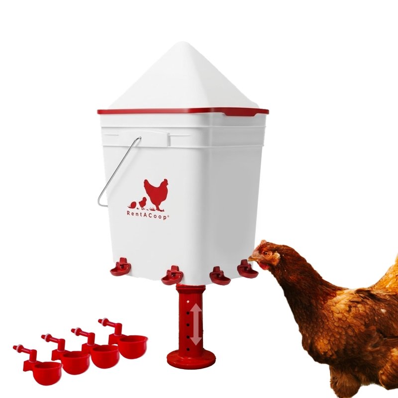 RentACoop 5 Gallon Chicken Waterer with 4 Auto-Fill Water Cups, 4 Horizontal nipples, and Adjustable Stand - Corner Placement