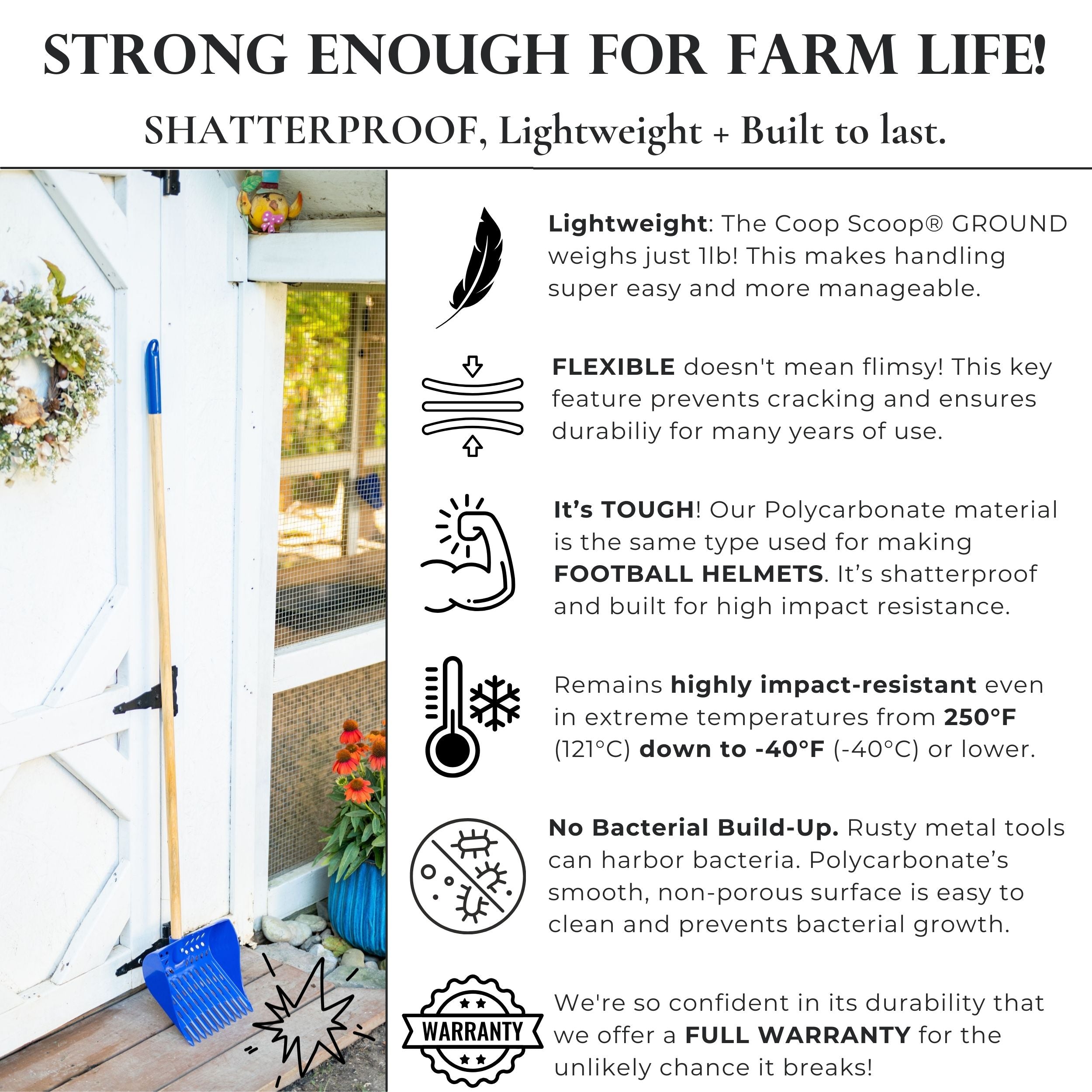 The Coop Scoop® Ground | 2-in-1 Chicken Poop Scoop & Rake | 48" Long Handle Sand Sifting Shovel For Floor Cleaning