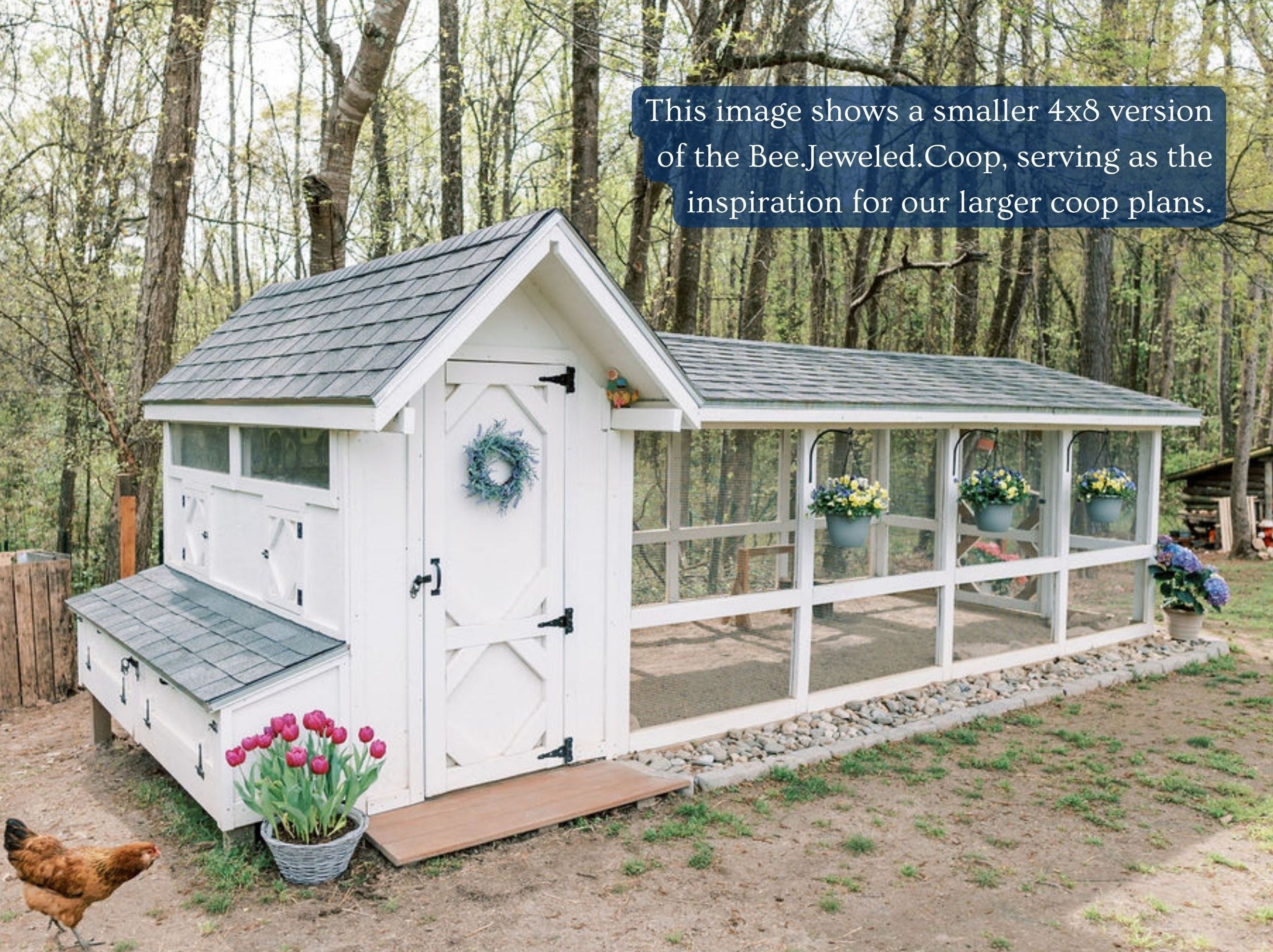 XL Bee Jeweled Coop | Chicken Coop Building Plans | 12-25 Chickens