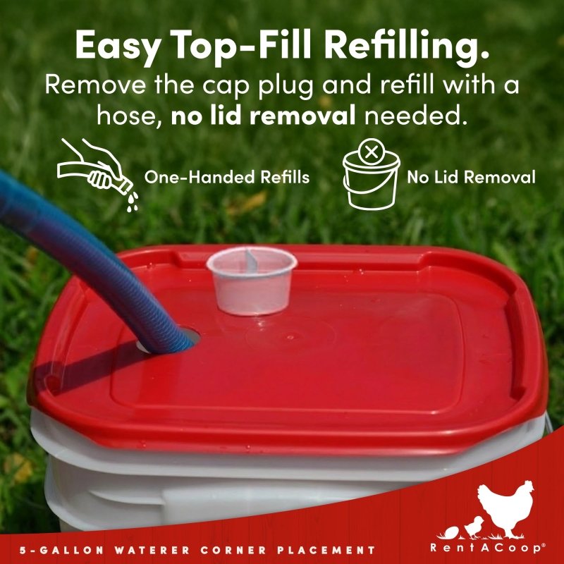 RentACoop 5 Gallon Chicken Waterer with 4 Auto-Fill Water Cups, 4 Horizontal nipples, and Adjustable Stand - Corner Placement