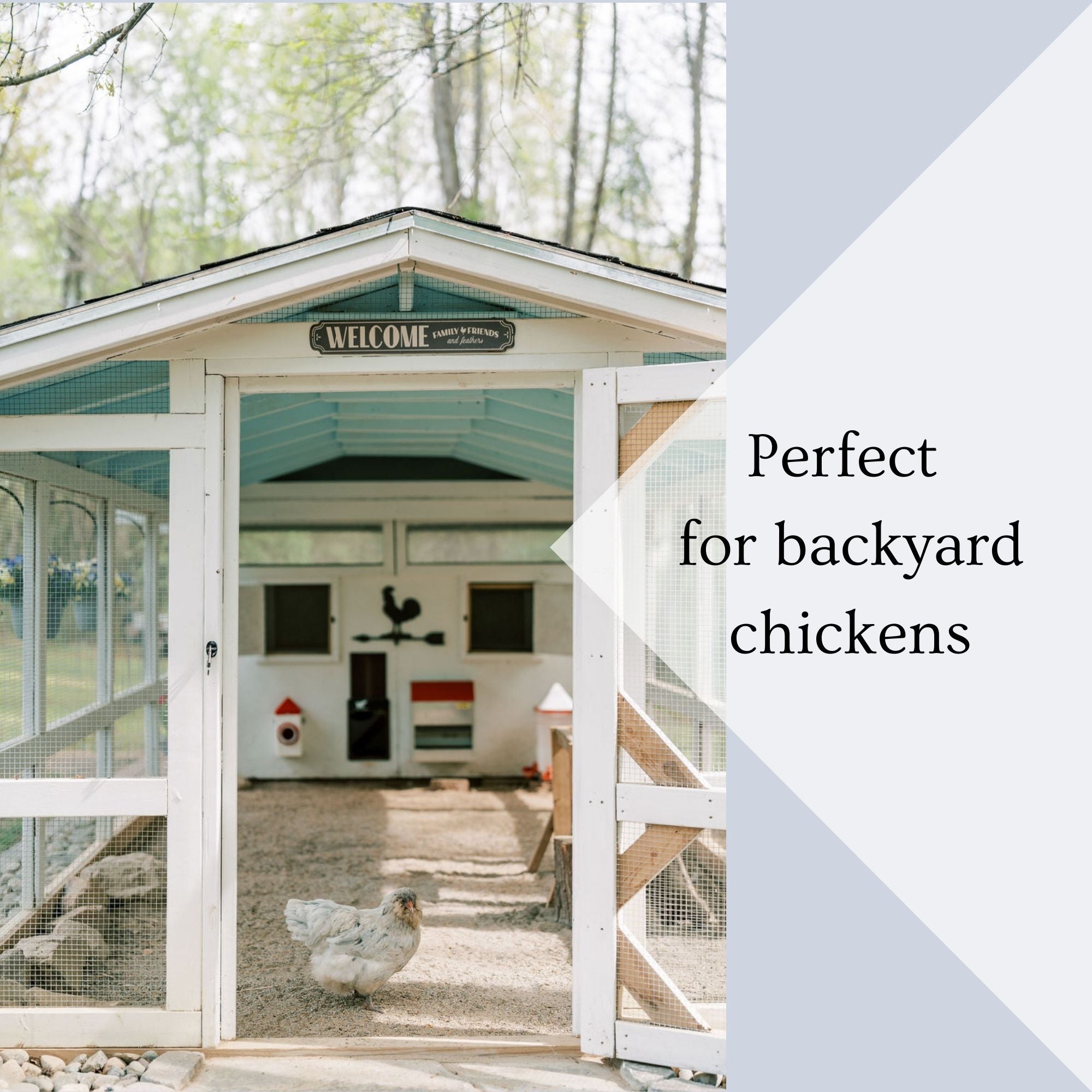 Chicken Coop Cleaning Checklist