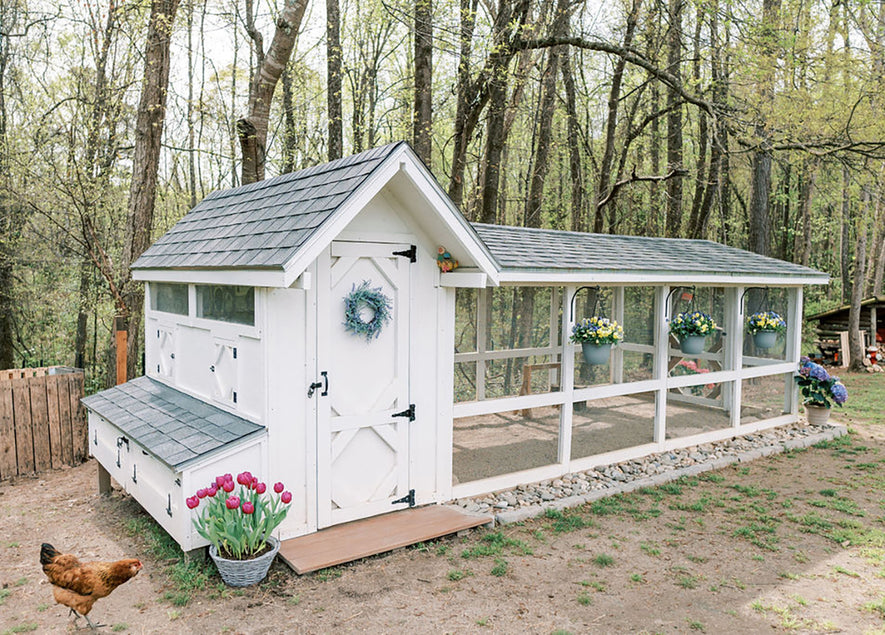 Bee Jeweled Coop | Chicken Coop Building Plans