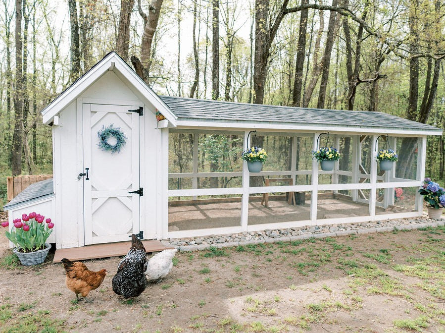 Bee Jeweled Coop (Run Right) | Chicken Coop Building Plans | 6-12 Chickens