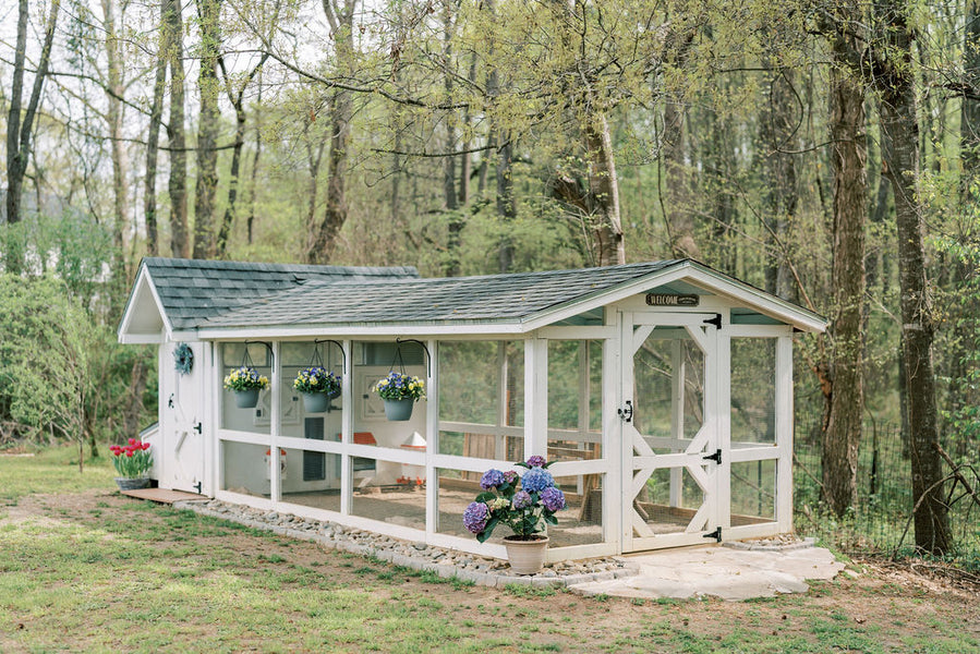 Bee Jeweled Coop | Chicken Coop Building Plans