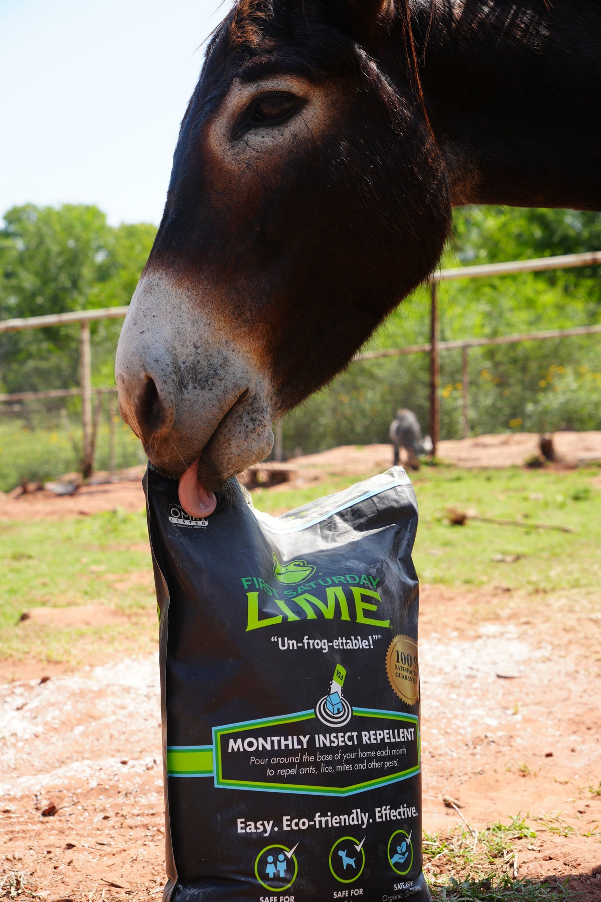 First Saturday Lime Insect Repellent