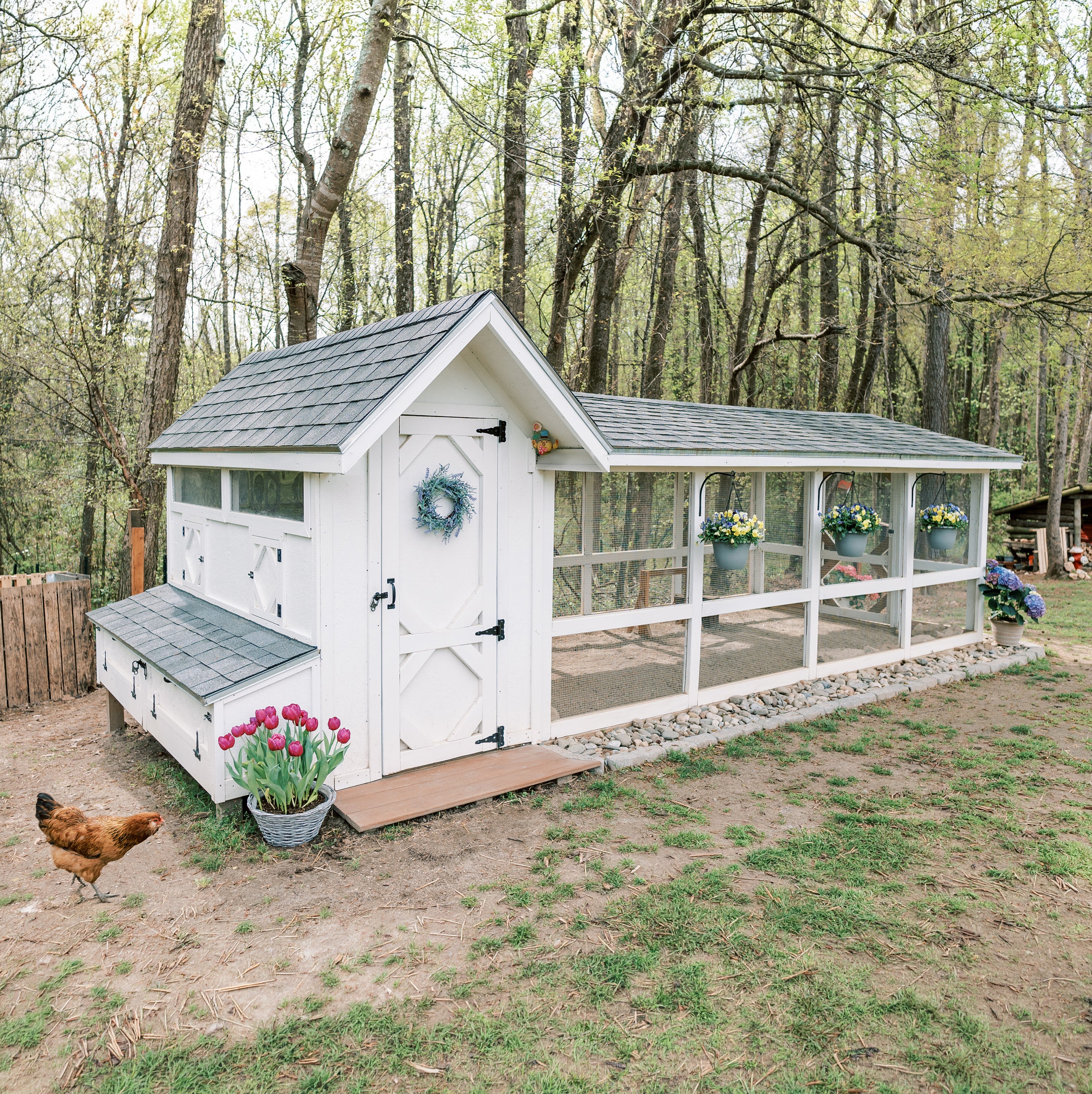 Bee Jeweled Coop (Run Right) | Chicken Coop Building Plans | 6-12 Chickens