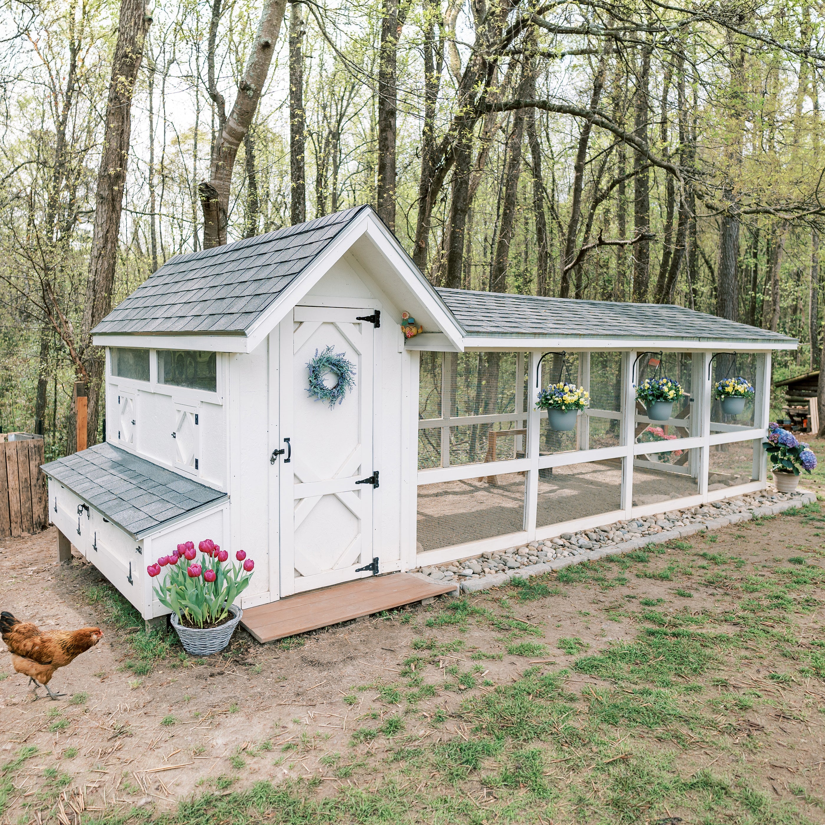 Bee Jeweled Coop (Run Right) | Chicken Coop Building Plans | 6-12 Chickens