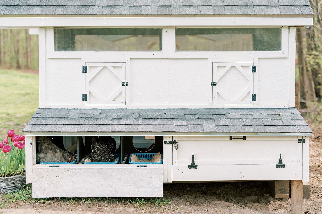 Bee Jeweled Coop (Run Left) | Chicken Coop Building Plans | 6-12 Chickens