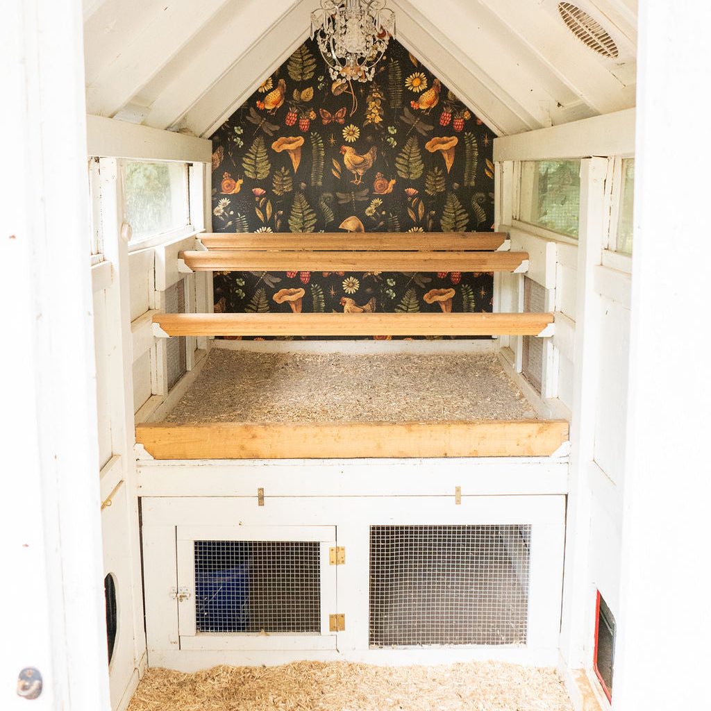 FREE Coop Litter Shelf & Storage Area Building Plans