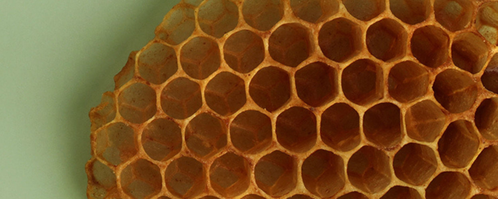 How to Render Wax From Honeycomb