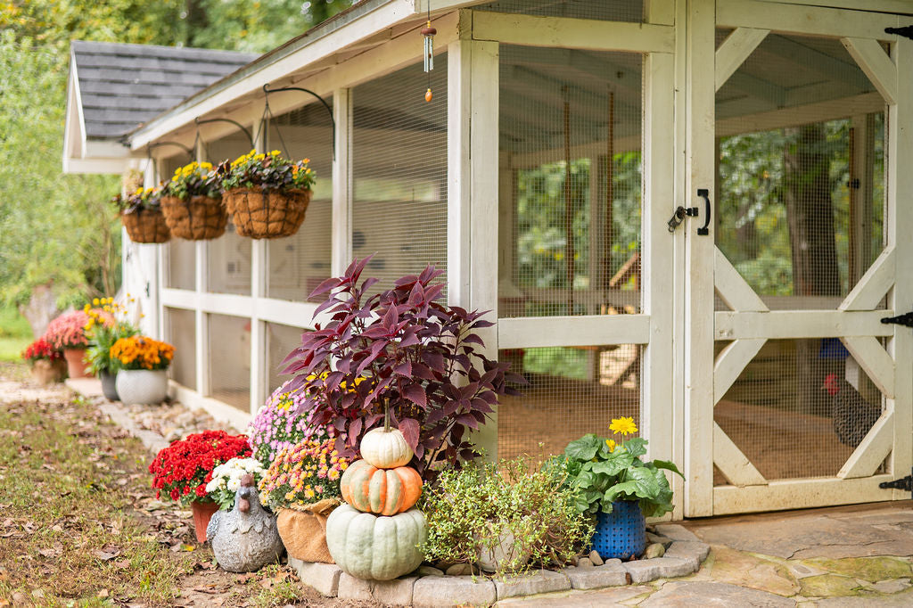 Winterizing Your Chicken Run: A Complete Step-by-Step Guide