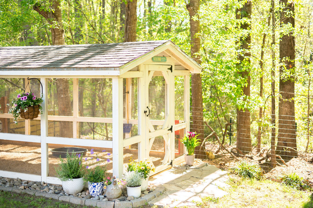 backyard chicken coop