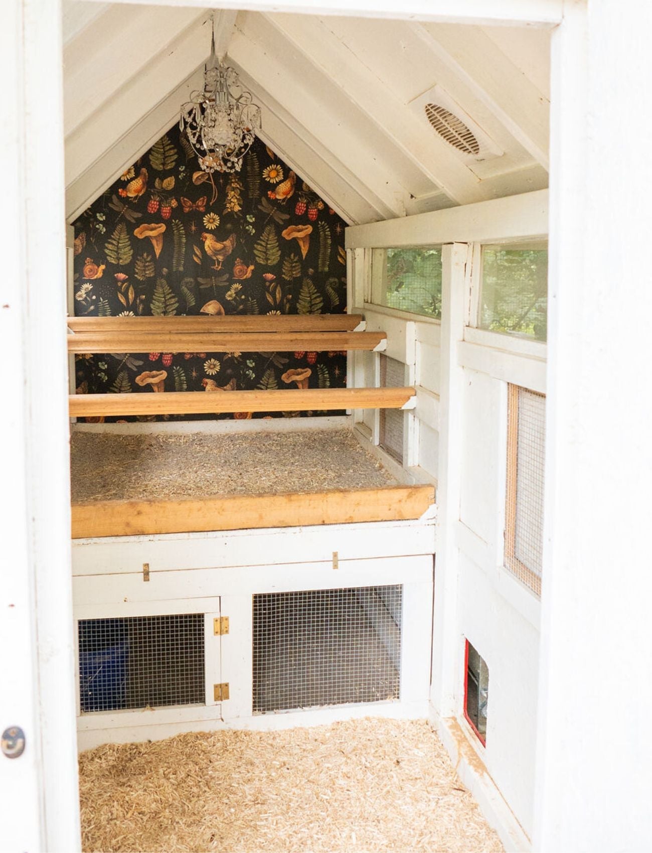 Chicken Coop Litter Shelf and Storage Area