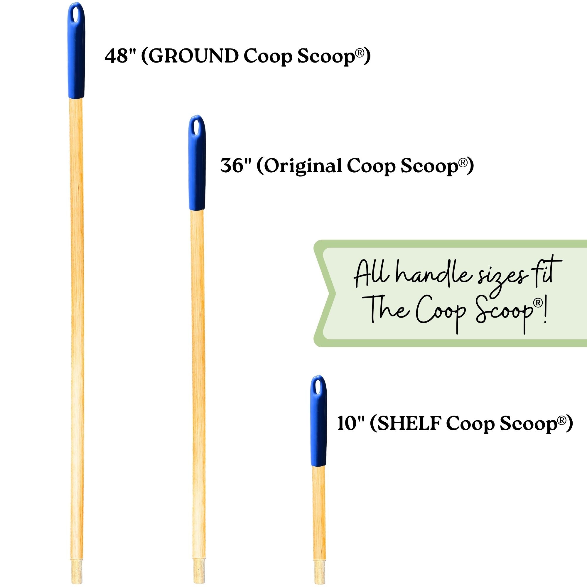 The Coop Scoop® Spare Handle | Solid Wood Handle + Comfort Grip | Universal Fit For All Coop Scoops