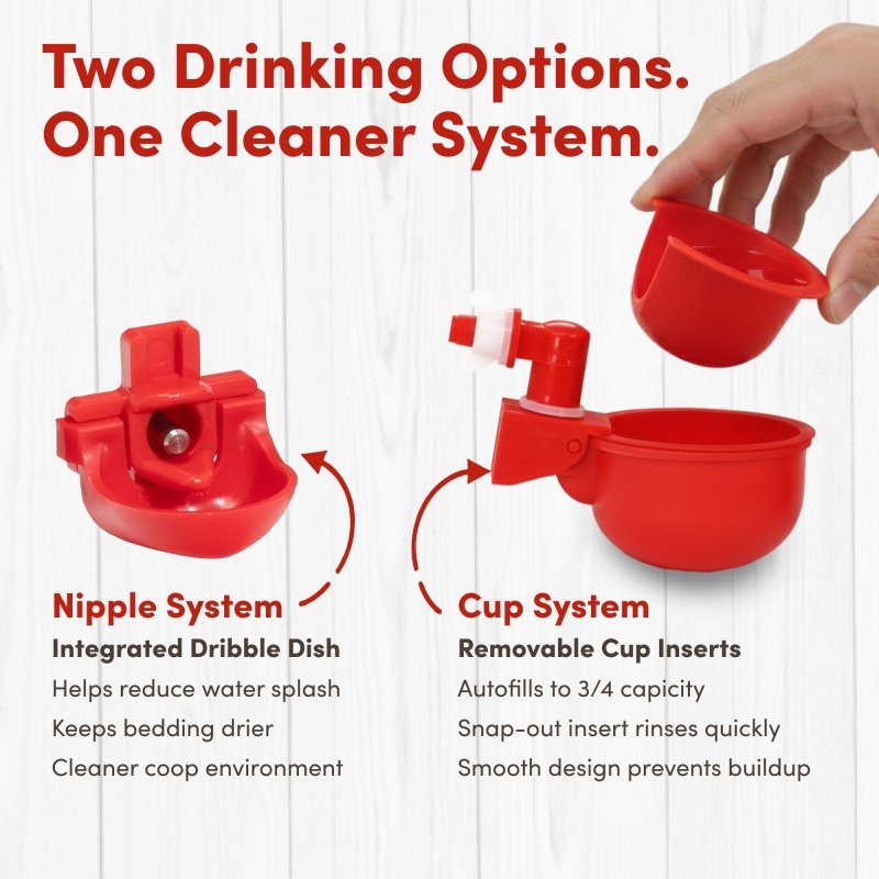 RentACoop 5 Gallon Chicken Waterer with 4 Auto-Fill Water Cups, 4 Horizontal nipples, and Adjustable Stand - Corner Placement