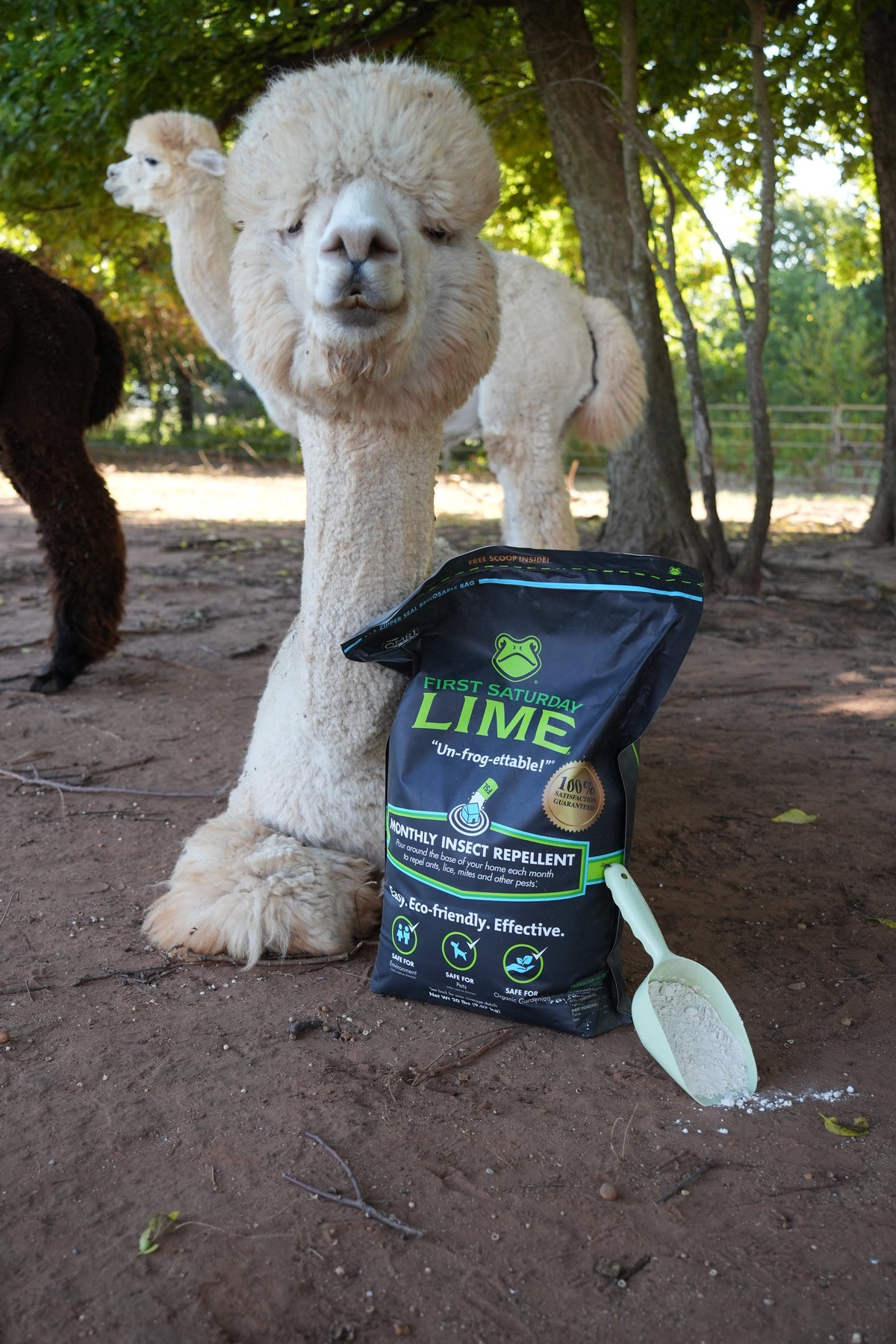 First Saturday Lime Insect Repellent