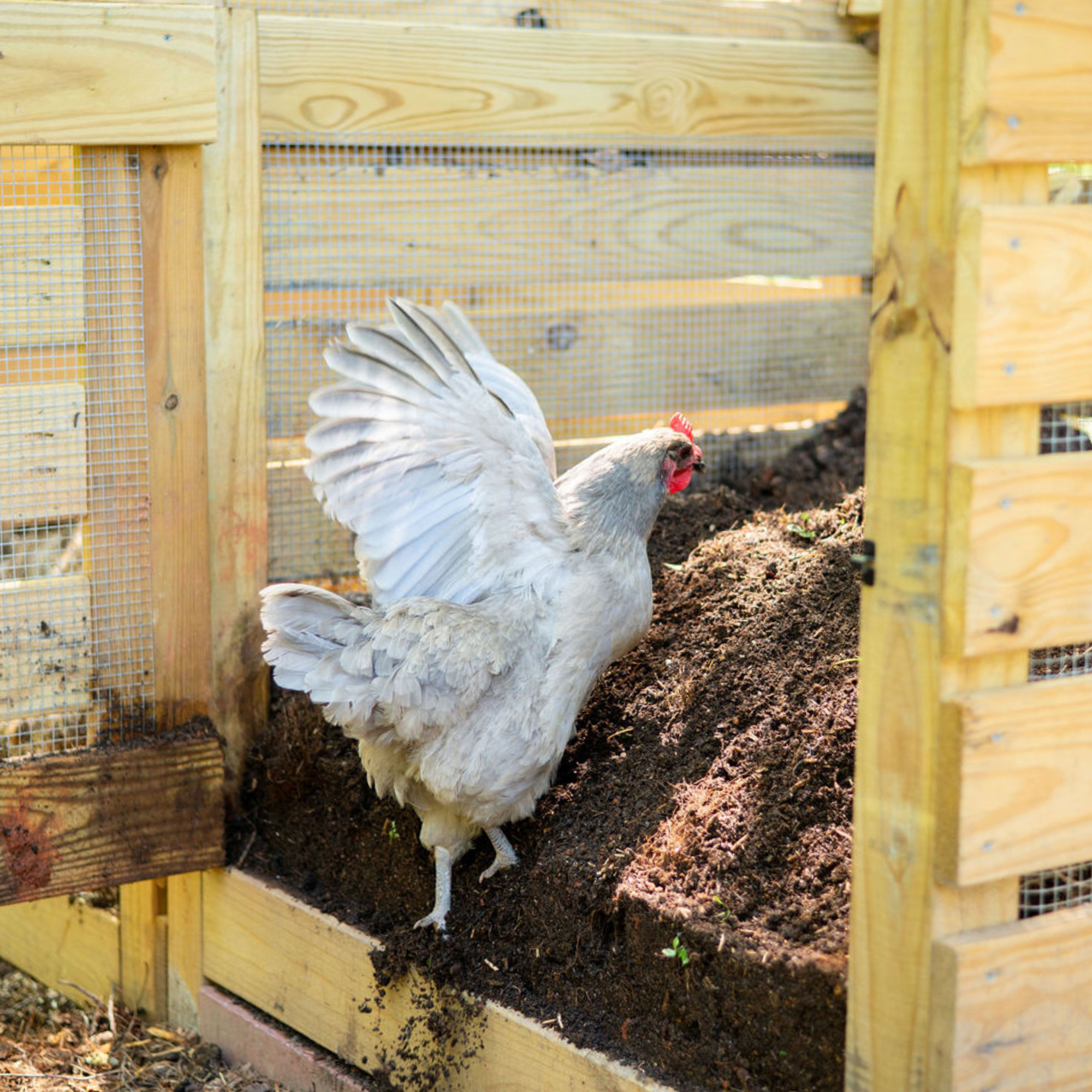 Compost Bin Building Plans | DIY 1 to 3 Bin Compost System