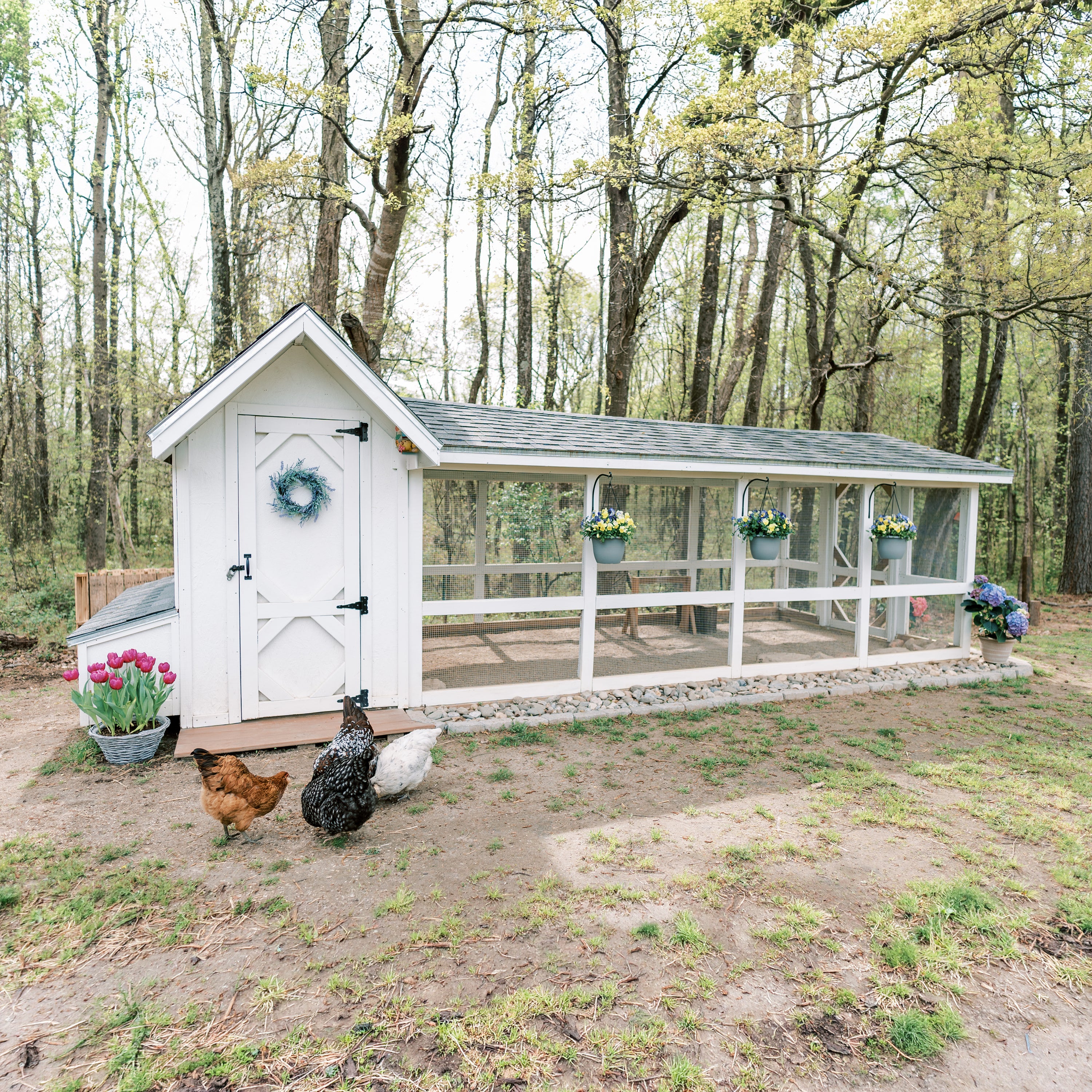 Bee Jeweled Coop (Run Right) | Chicken Coop Building Plans | 6-12 Chickens