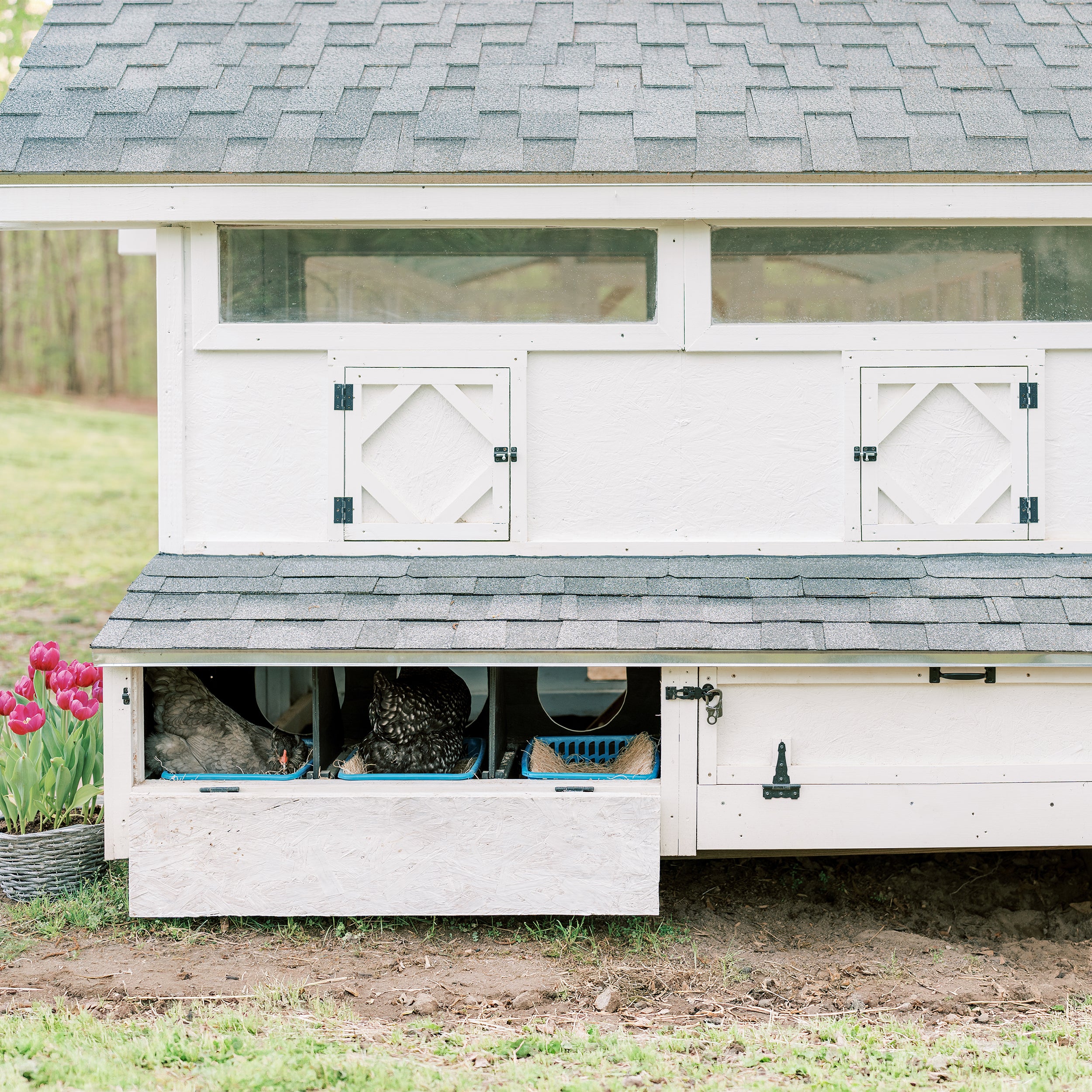 XL Bee Jeweled Coop | Chicken Coop Building Plans | 12-25 Chickens
