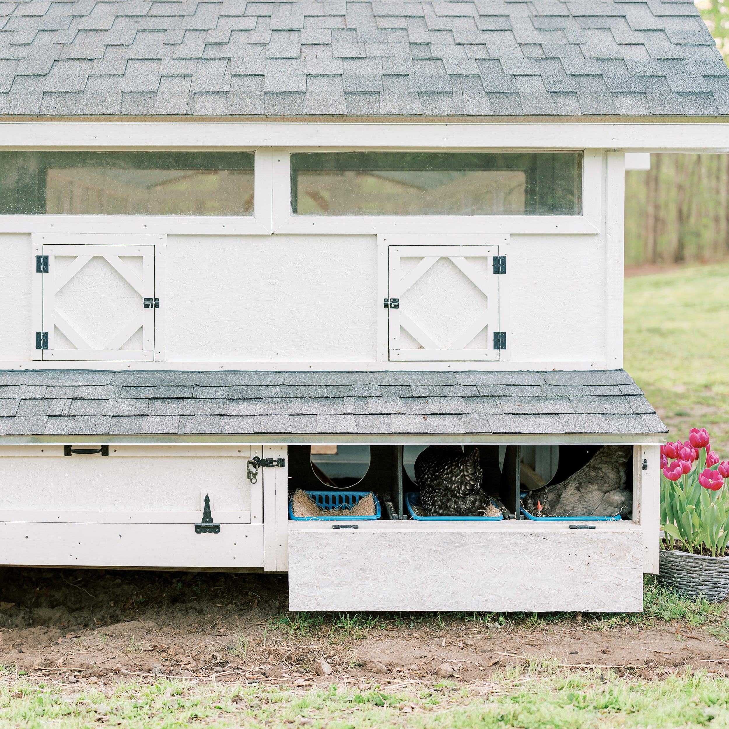 Bee Jeweled Coop (Run Right) | Chicken Coop Building Plans | 6-12 Chickens